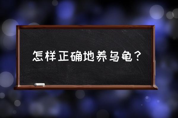 怎么养乌龟才是正确的 怎样正确地养乌龟？