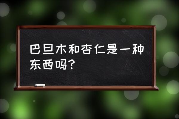 巴旦木和杏仁是一种东西吗 巴旦木和杏仁是一种东西吗？