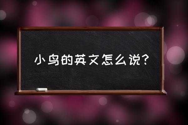 acome小鸟 小鸟的英文怎么说？