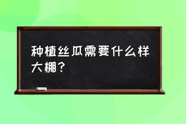 大棚丝瓜种植 种植丝瓜需要什么样大棚？