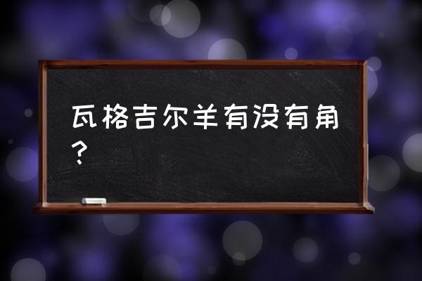 瓦格吉尔羊的功效与作用 瓦格吉尔羊有没有角？