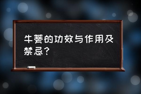 牛蒡的作用功效和禁忌 牛蒡的功效与作用及禁忌？