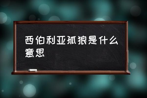 西伯利亚大尾巴狼 西伯利亚孤狼是什么意思