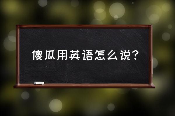 傻瓜国际音标 全 傻瓜用英语怎么说？