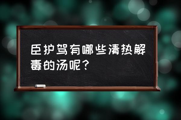 简单清热解毒汤大全 臣护驾有哪些清热解毒的汤呢？