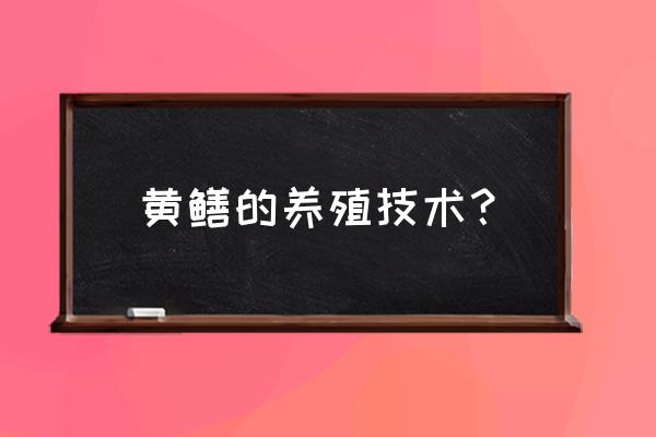 鳝鱼养殖技术 黄鳝的养殖技术？