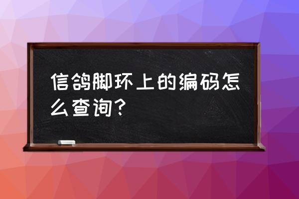 2020信鸽足环号查询 信鸽脚环上的编码怎么查询？