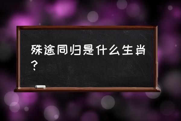 殊途同归指什么生肖 殊途同归是什么生肖？