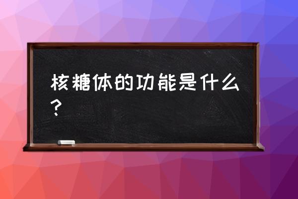 核糖体的功能是什么 核糖体的功能是什么？