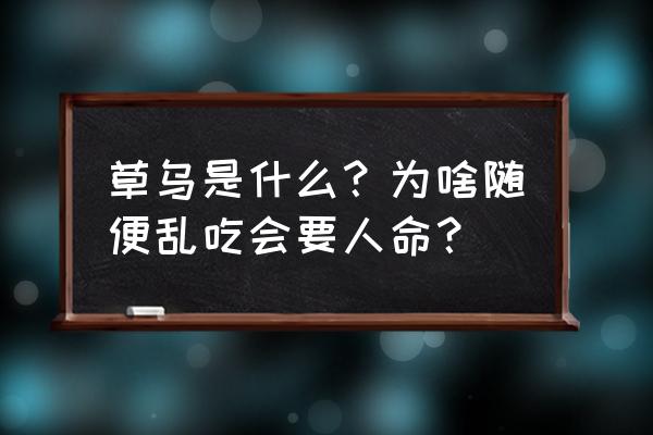 草乌不能与什么同吃 草乌是什么？为啥随便乱吃会要人命？