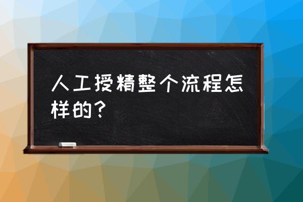 人工授精过程全解析 人工授精整个流程怎样的？