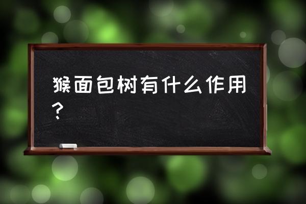 猴面包树果实叫什么 猴面包树有什么作用？