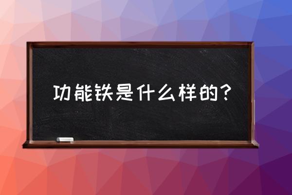 氯化血红素作用 功能铁是什么样的？