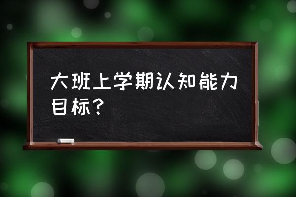 大班第一学期计划 大班上学期认知能力目标？