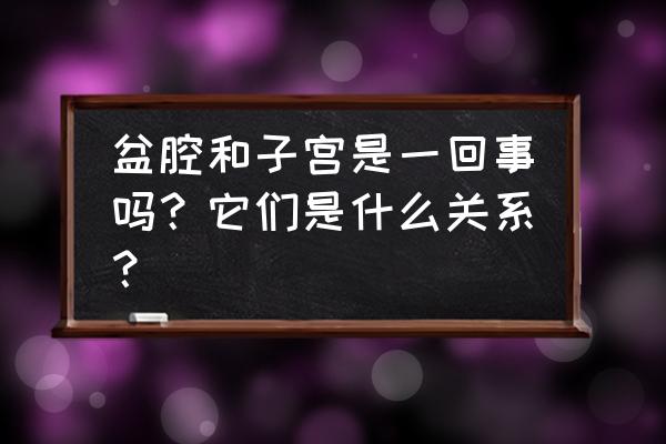 骨盆前面有什么器官 盆腔和子宫是一回事吗？它们是什么关系？