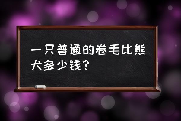 卷毛犬多少钱一只 一只普通的卷毛比熊犬多少钱？