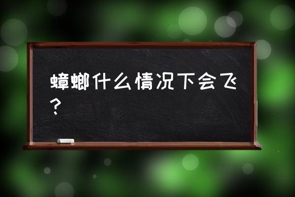 蟑螂会飞是什么情况 蟑螂什么情况下会飞？