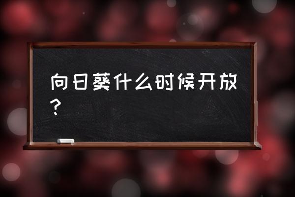 向日葵花季 向日葵什么时候开放？