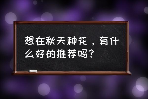 秋天种的花有哪些 想在秋天种花，有什么好的推荐吗？