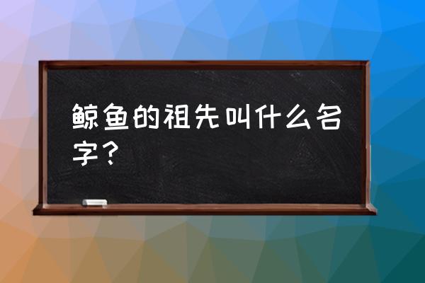 鲸鱼的祖先叫什么 鲸鱼的祖先叫什么名字？