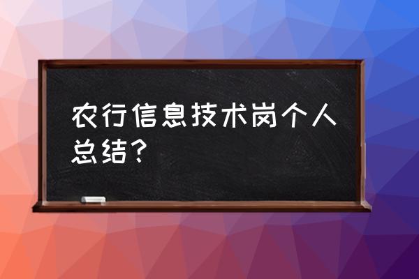 信息技术课工作总结 农行信息技术岗个人总结？