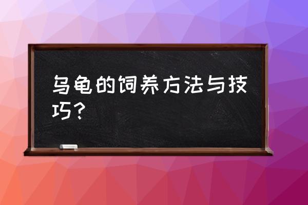 怎样养乌龟是正确的 乌龟的饲养方法与技巧？