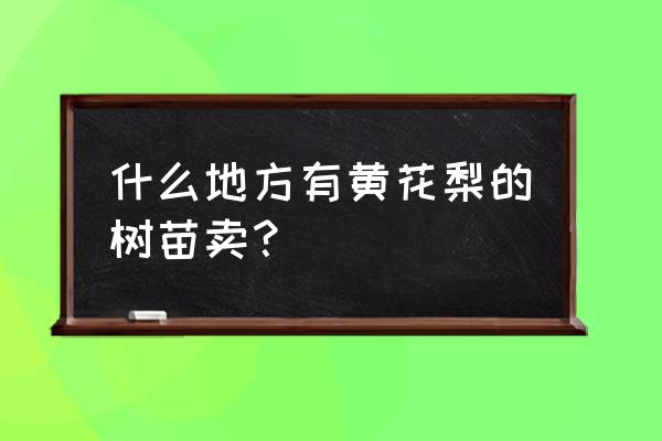 黄花梨树苗哪里有卖 什么地方有黄花梨的树苗卖？