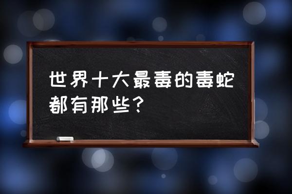 世界上最毒的蛇排名 世界十大最毒的毒蛇都有那些？