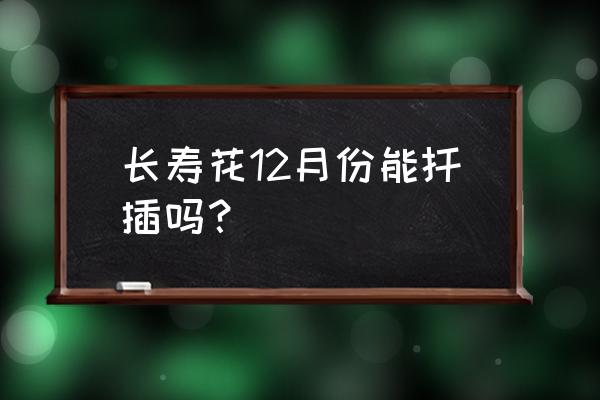 长寿花冬季能扦插 长寿花12月份能扦插吗？