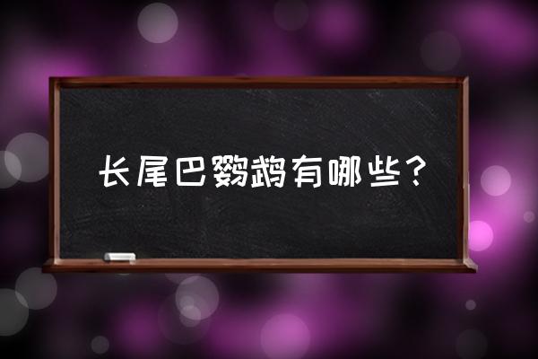 长尾鹦鹉有哪几种 长尾巴鹦鹉有哪些？