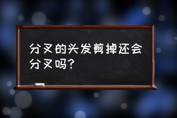 分叉的头发剪了还会分叉吗 分叉的头发剪掉还会分叉吗？