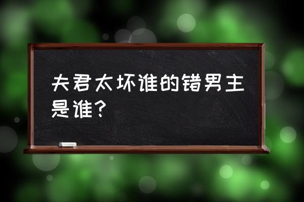 夫君太多谁的错西子情 夫君太坏谁的错男主是谁？