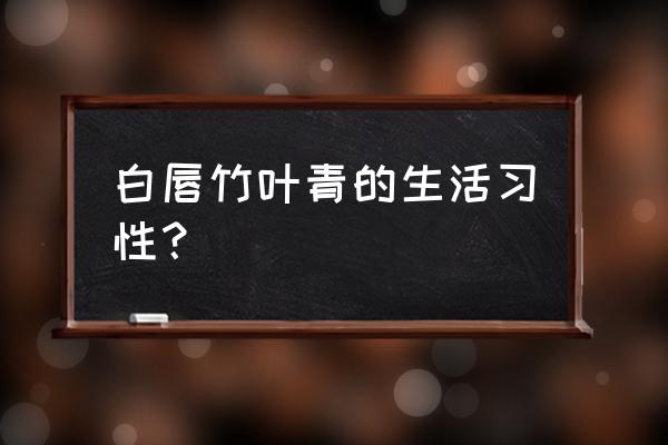 白唇竹叶青能干嘛 白唇竹叶青的生活习性？