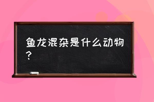 鱼龙混杂指什么动物 鱼龙混杂是什么动物？