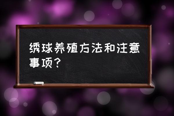 绣球花苗养殖方法 绣球养殖方法和注意事项？