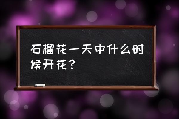 石榴花是什么季节开的 石榴花一天中什么时候开花？