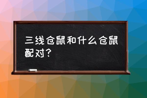 三线仓鼠和什么仓鼠最合适 三线仓鼠和什么仓鼠配对？