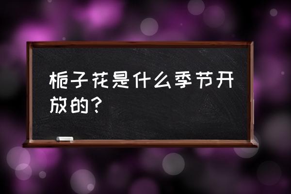 栀子花一般什么时候开 栀子花是什么季节开放的？