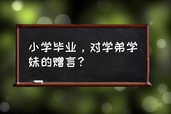 小学毕业赠言一句话 小学毕业，对学弟学妹的赠言？