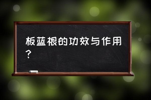 板蓝根泡面功效 板蓝根的功效与作用？