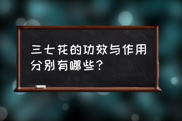 三七花的作用与功效与作用 三七花的功效与作用分别有哪些？