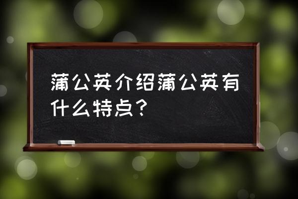 了解蒲公英的特点 蒲公英介绍蒲公英有什么特点？