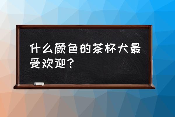 茶杯贵宾犬白色 什么颜色的茶杯犬最受欢迎？