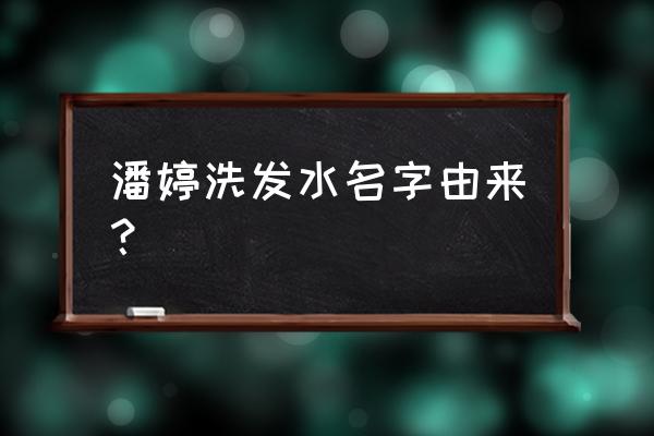 潘婷洗发水介绍 潘婷洗发水名字由来？