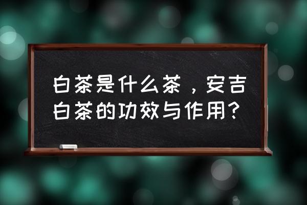 安吉白茶的功效与禁忌 白茶是什么茶，安吉白茶的功效与作用？