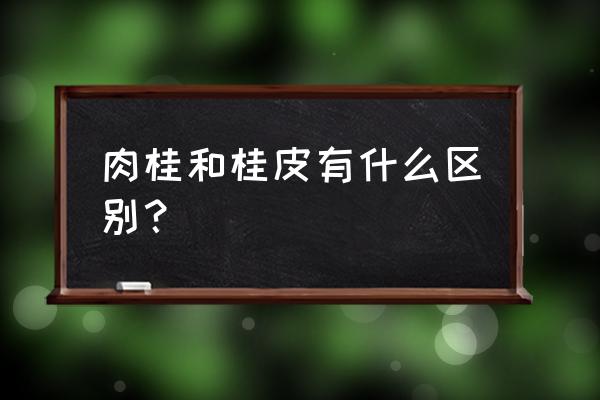 肉桂桂皮的区别 肉桂和桂皮有什么区别？