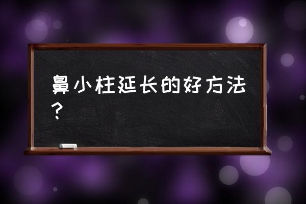 鼻小柱延长是永久的吗 鼻小柱延长的好方法？