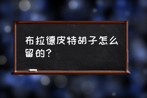 老外的胡子怎么留 布拉德皮特胡子怎么留的？