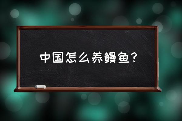 鳗鱼的养殖方法是怎样养的 中国怎么养鳗鱼？