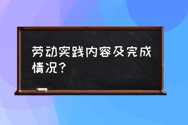 实践心得体会模板 劳动实践内容及完成情况？